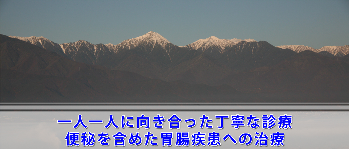 松本市島内、島高松駅より徒歩1分、内科・消化器内科